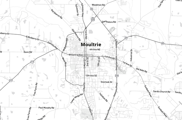 Custom Printed large posters 42x28 matte lamination Cynthia B.