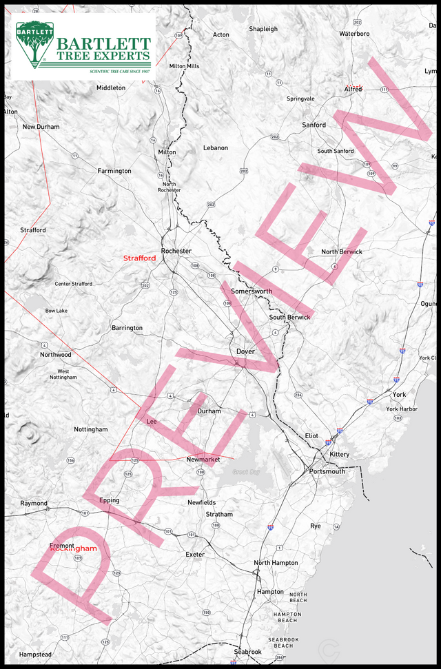 Printed large poster – 72"x48" Top laminated with DRY ERASE Overlaminate - diy - x48x72 - portrait - 20250909