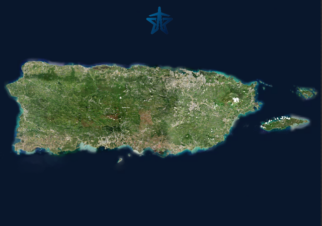 Custom Wallpaper Peel & Stick Polyester 84x60 Havier N