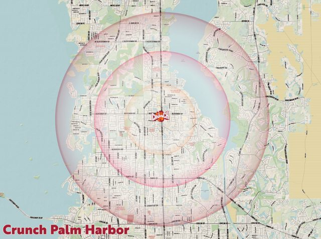 Crunch Franchises - Hallandale - Palm Harbor- Gainesville -48x36 with dry erase lamination