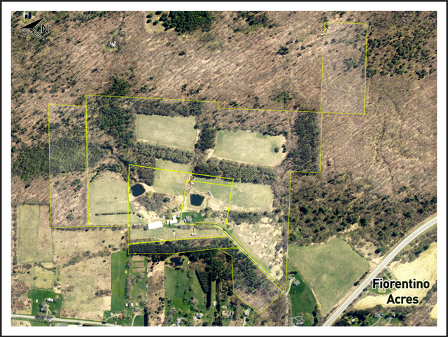 Custom Printed large poster 48x36 dry erase lamination Matt F