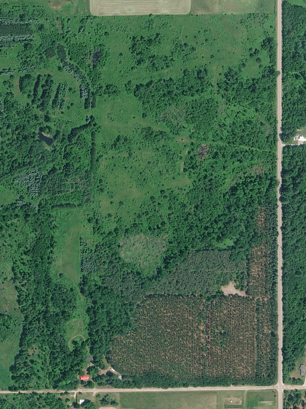 Custom Printed large poster with matte lamination Eric M