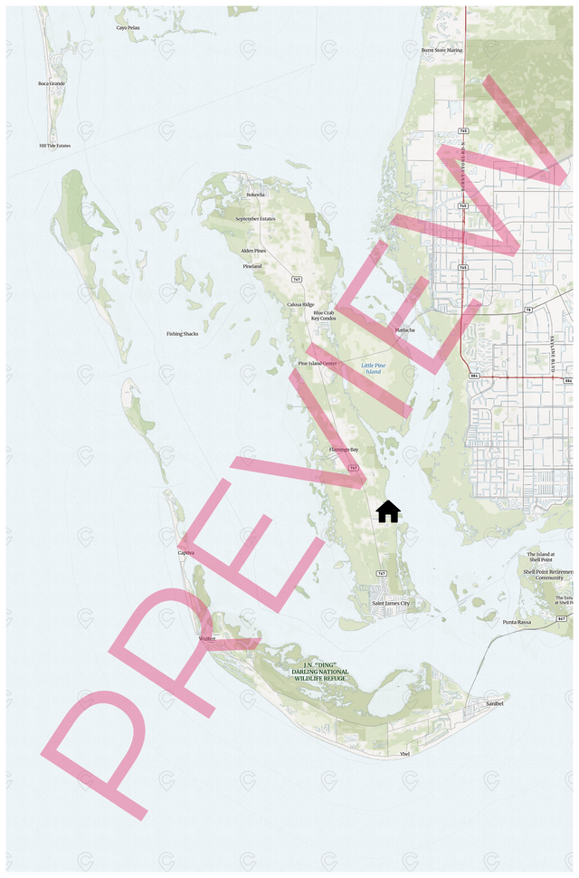 Printed large poster – 72"x48" Top Laminated - natgeo - x48x72 - portrait - 20241230