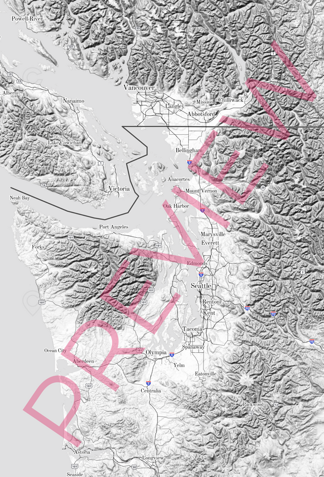 Orafol Peel & Stick Vinyl with Matte Lamination - diy - mural - 60x88inches - 20250129