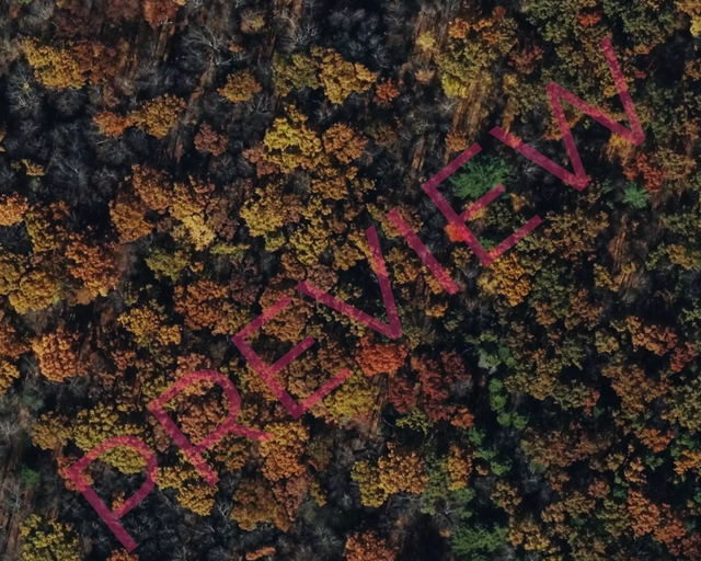 Printed poster – 16"x20" - satellite - x16x20 - landscape - 20251014