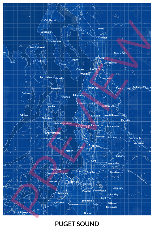 Digital file: 24" x 36" - blueprint - digital - x24x36 - portrait - 20240329