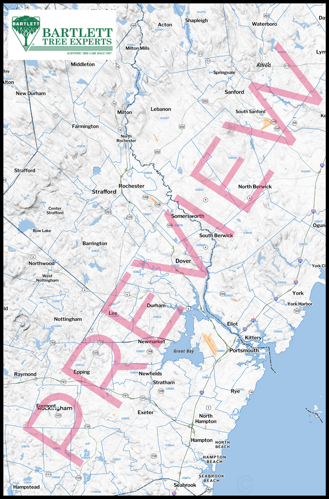Printed large poster – 72"x48" Top laminated with DRY ERASE Overlaminate - diy - x48x72 - portrait - 20250909