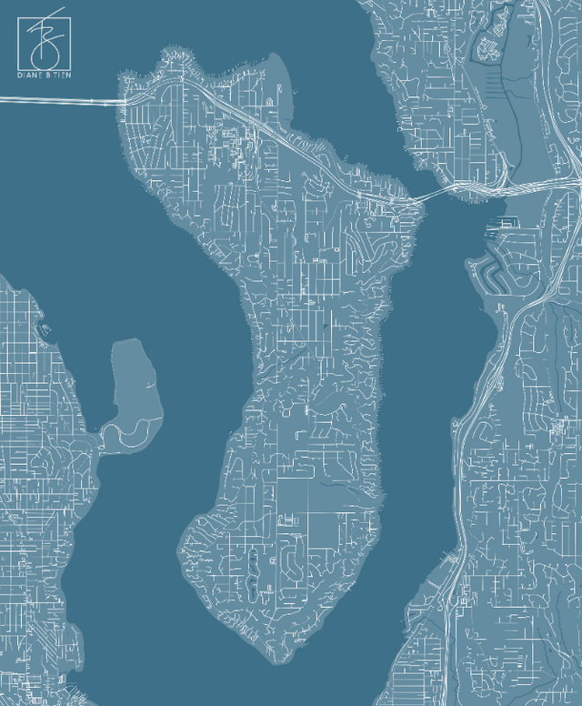 Map mural Photo Tex peel and stick 109x90 Mercer Island